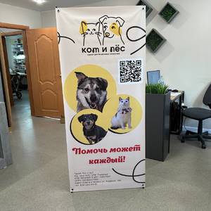 рол ап на заказ